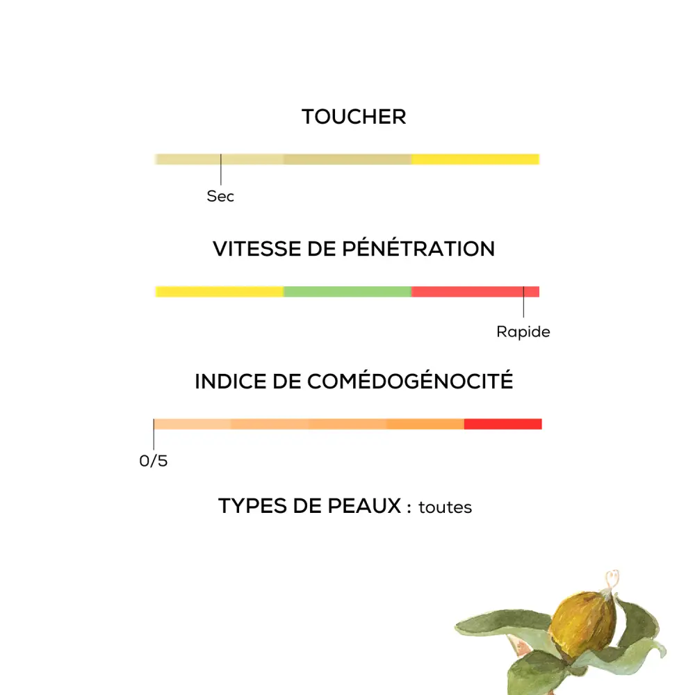 Huile végétale de Jojoba — Olica