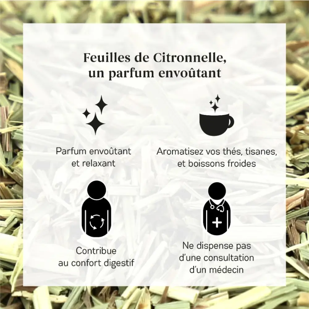 Zitronengras Bio — My Organic Infusion