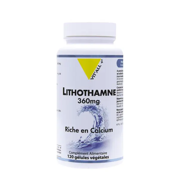 Lithothamne