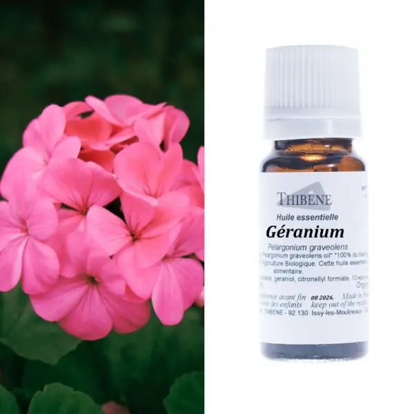 Geranium