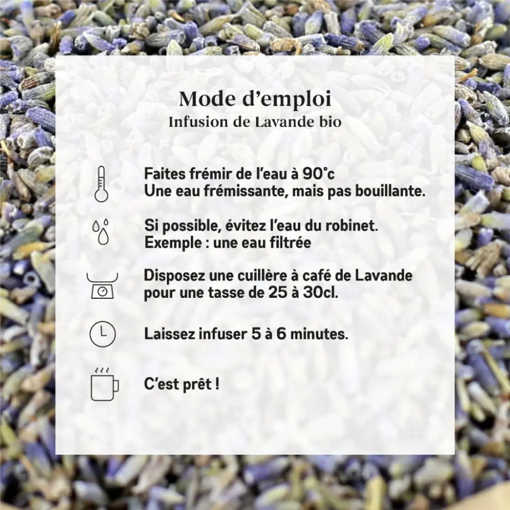 Bio-Lavendel — My Organic Infusion