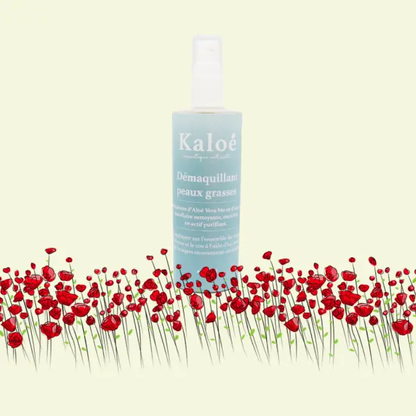 Démaquillant peaux grasses - 100ml
