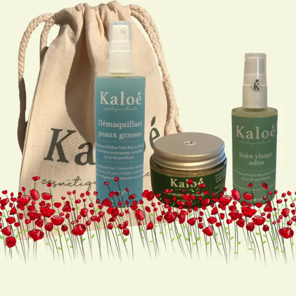Routine visage 3 produits ados - Soin visage ados 50 ml + Démaquillant peaux grasses 100 ml + Gommage visage 50 ml + Pochon