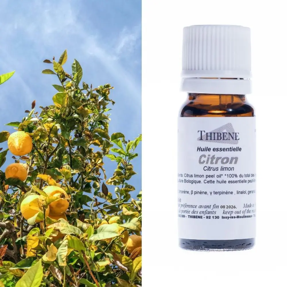 Citron — Thibêne