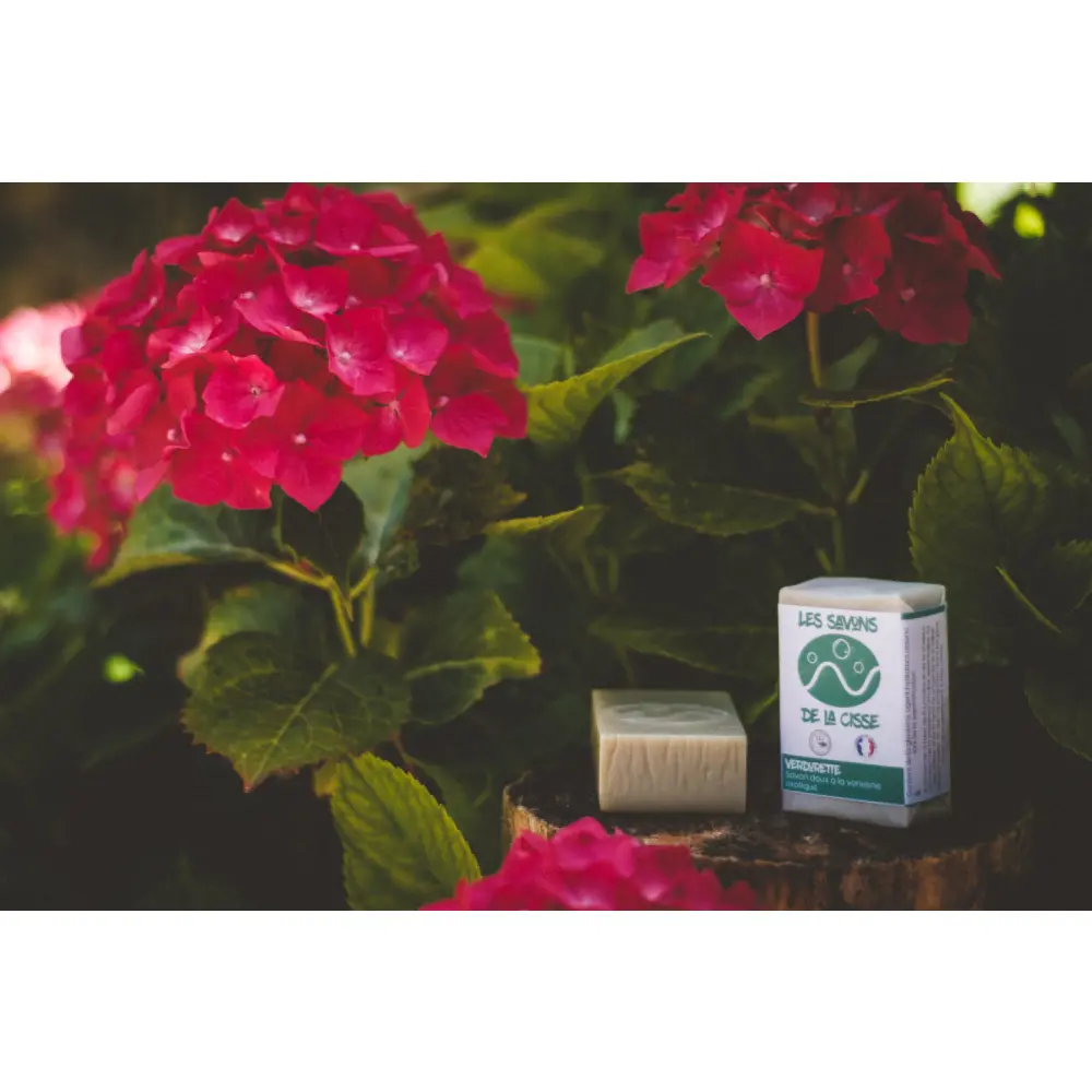 Le Verveine - Savon Solide — Les Savons De La Cisse