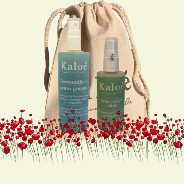 Routine visage 2 produits ados - Soin visage ados 50 ml + Démaquillant peaux grasses 100 ml + Pochon