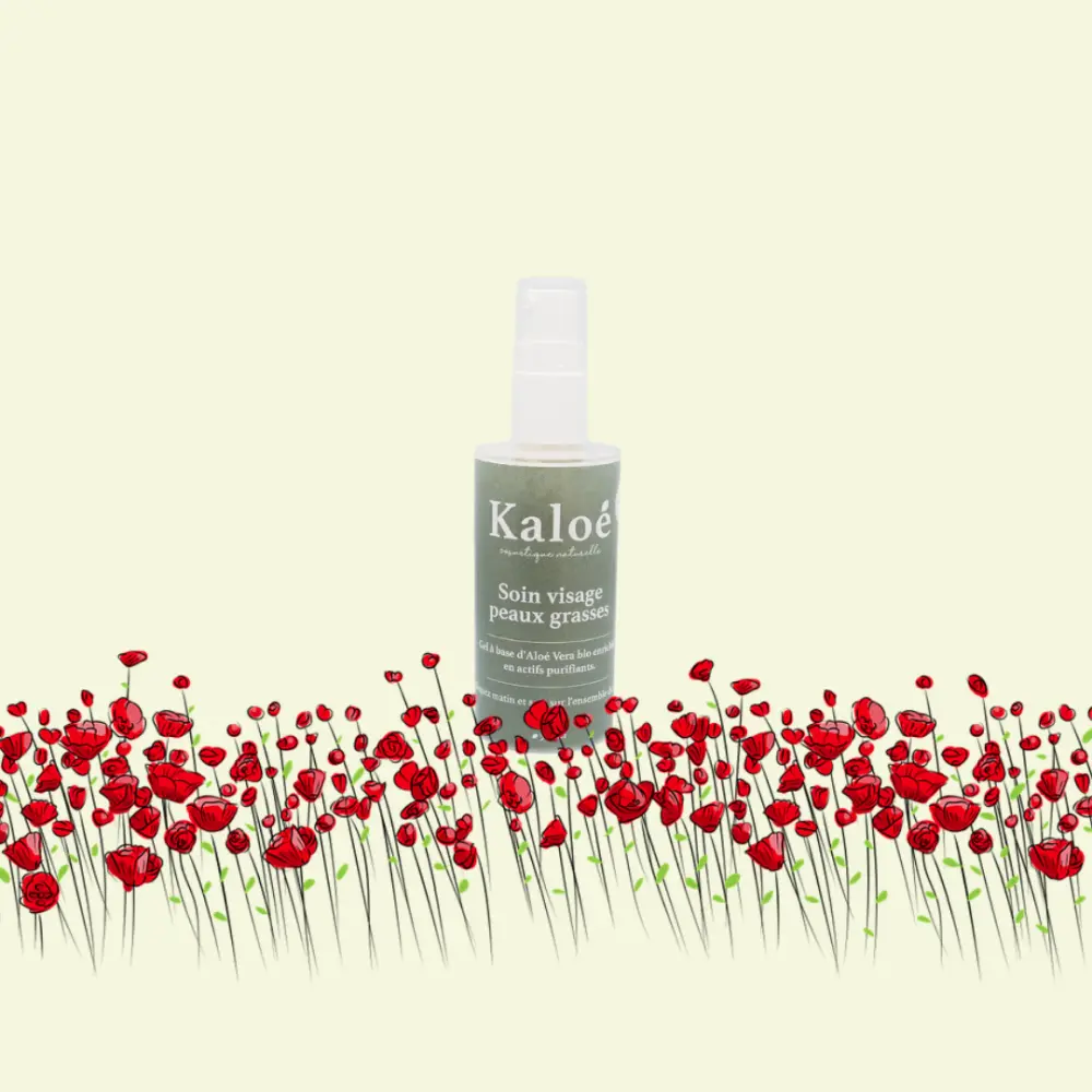 Soin visage peaux grasses — Kaloé