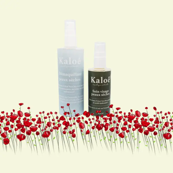 Routine visage 2 produits peaux sèches - Soin visage peaux sèches 50 ml + Démaquillant peaux sèches 100 ml