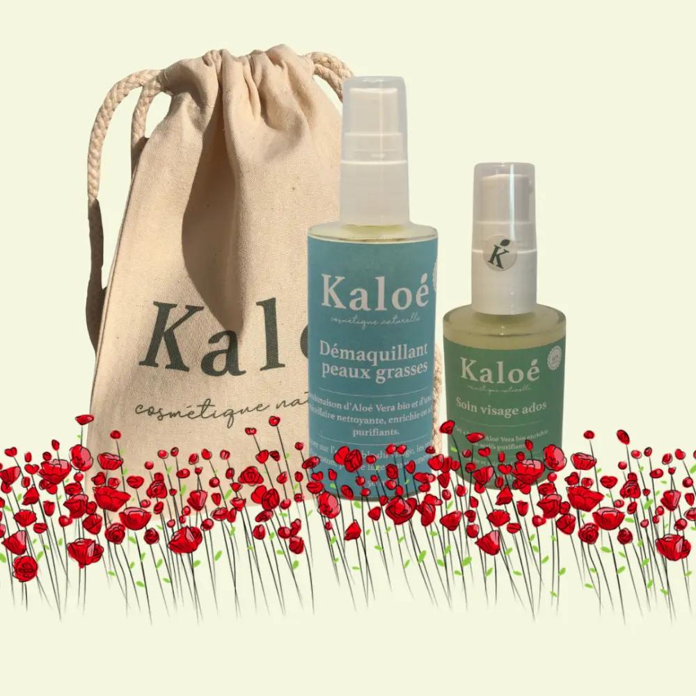 Gesichtsroutine- pflege Teenager + Make-up-Entferner fettige Haut + Pochon — Kaloé