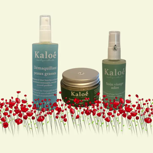 Routine visage 3 produits ados - Soin visage ados 50 ml + Démaquillant peaux grasses 100 ml + Gommage visage 50 ml