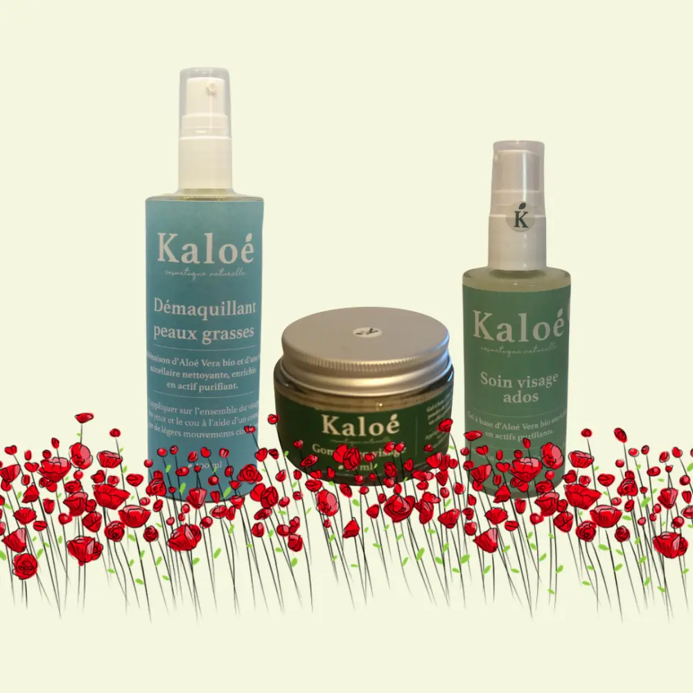 Routine visage 3 produits ados - Soin visage ados 50 ml + Démaquillant peaux grasses 100 ml + Gommage visage 50 ml — Kaloé