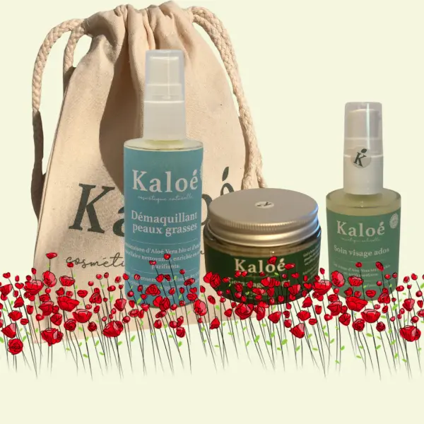 Routine visage 3 produits ados - Soin visage ados 30 ml + Démaquillant peaux grasses 50 ml + Gommage visage 50 ml + Pochon