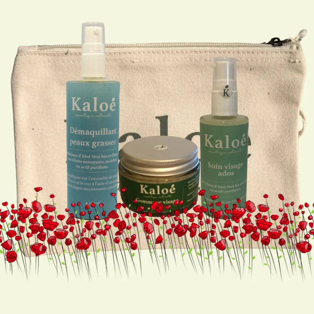 Gesichtsroutine- pflege Jugendliche + Make-up-Entferner fettige Haut + Gesichtspeeling + Kosmetiktasche M — Kaloé