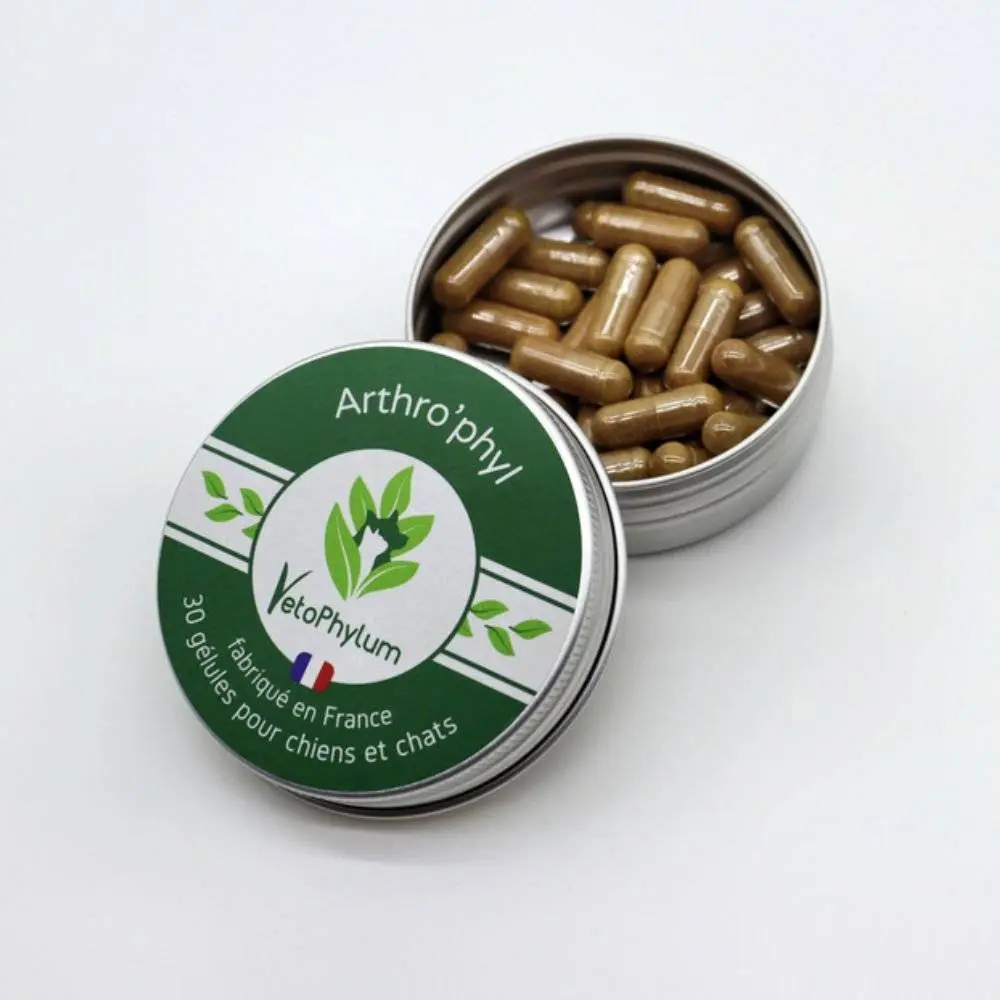 Arthro'phyl - Beweglichkeit & Gelenke — Vetophylum