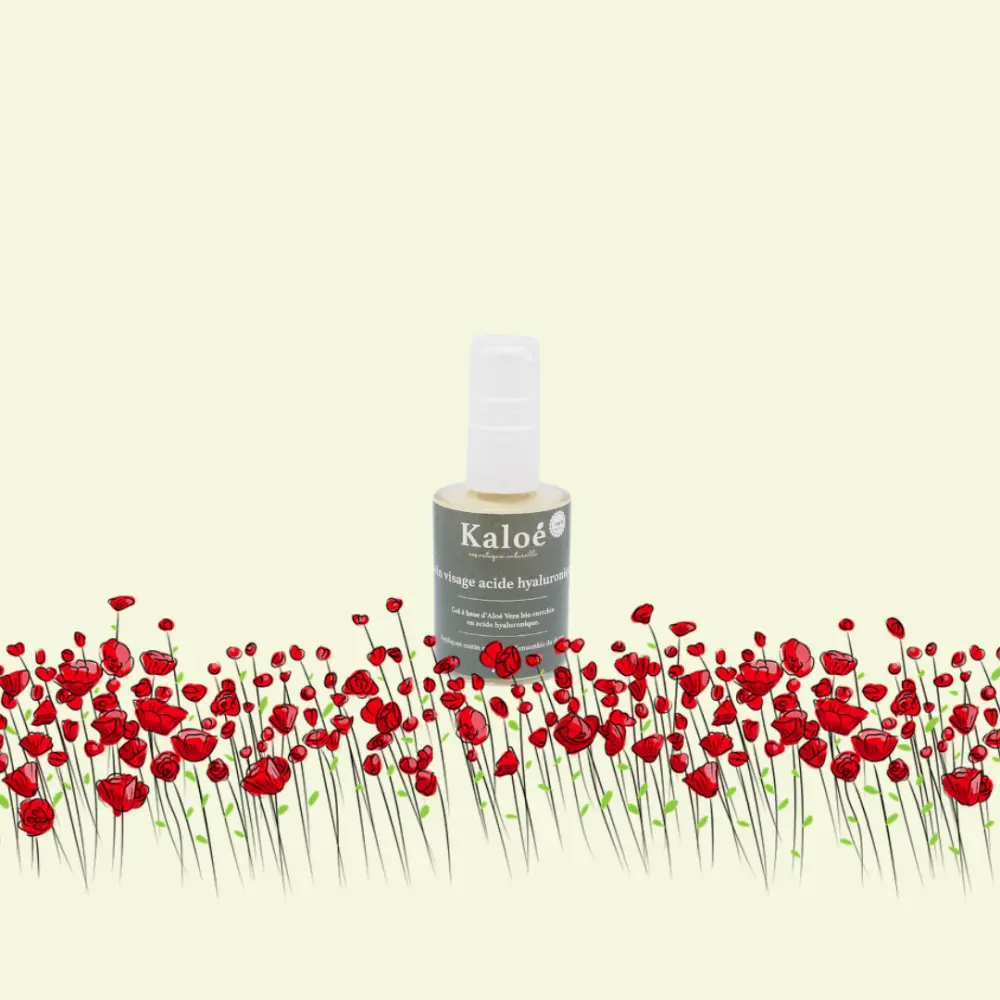 Soin visage acide hyaluronique — Kaloé
