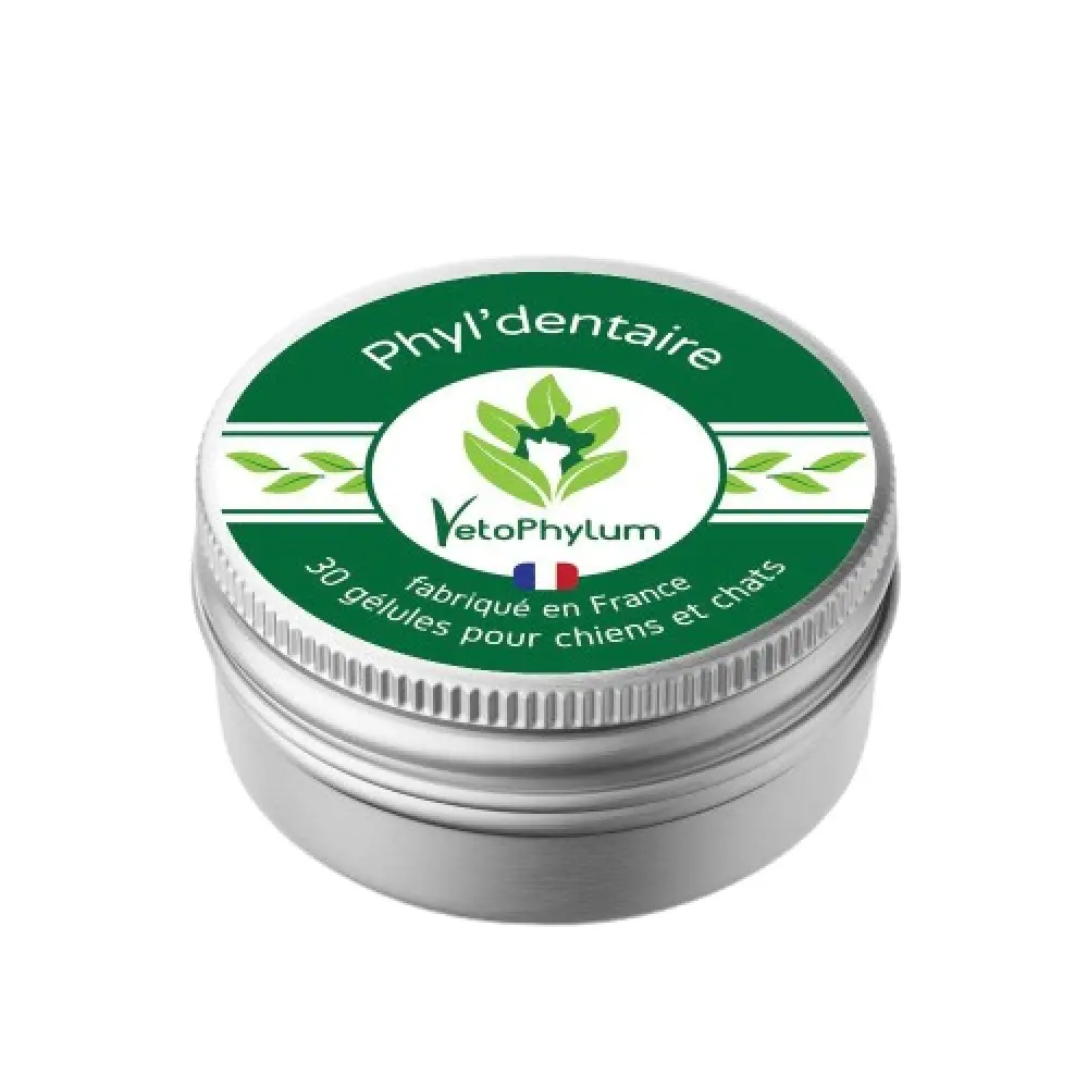 Phyl'dentaire - Hygiène Buccale — Vetophylum