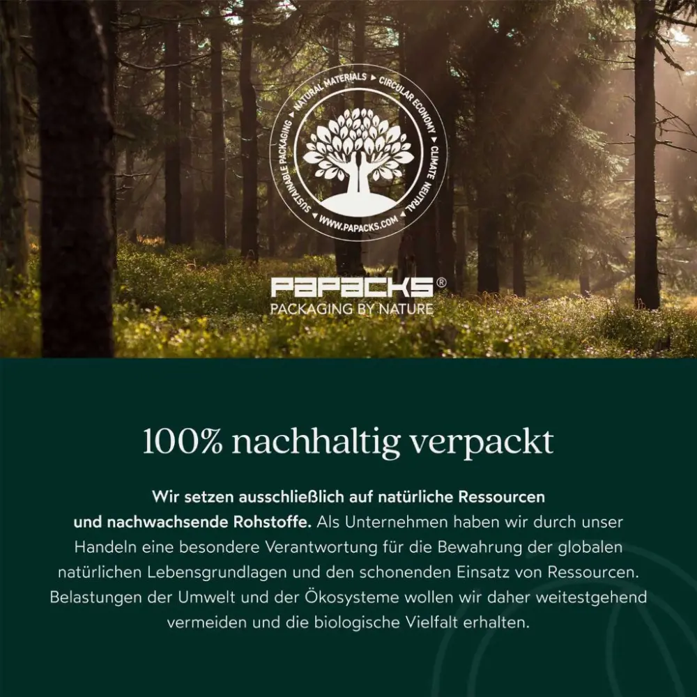 Vitamin B12 plus Folsäure — Nutriproud