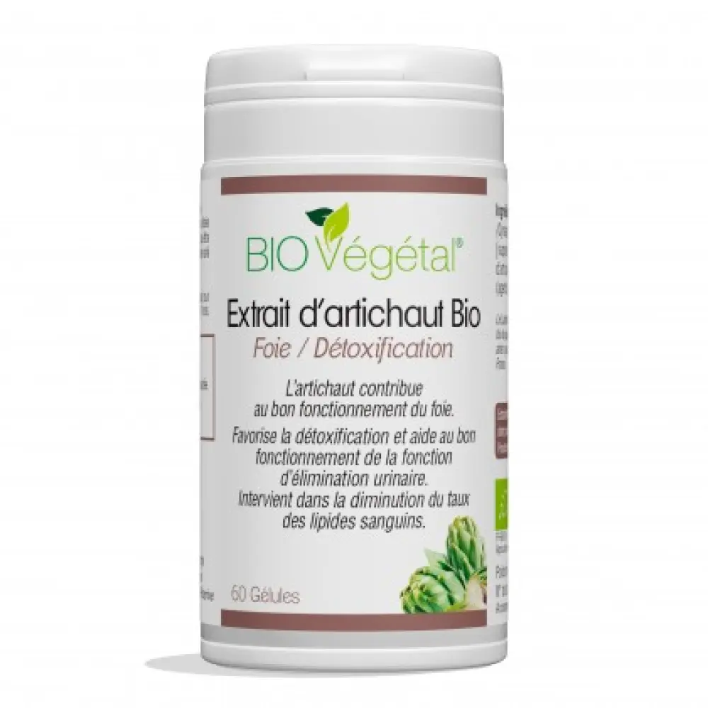 Bio Artischockenextrakt — Phytosud