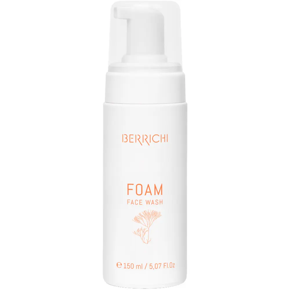 BERRICHI FOAM Reinigungsschaum — Berrichi
