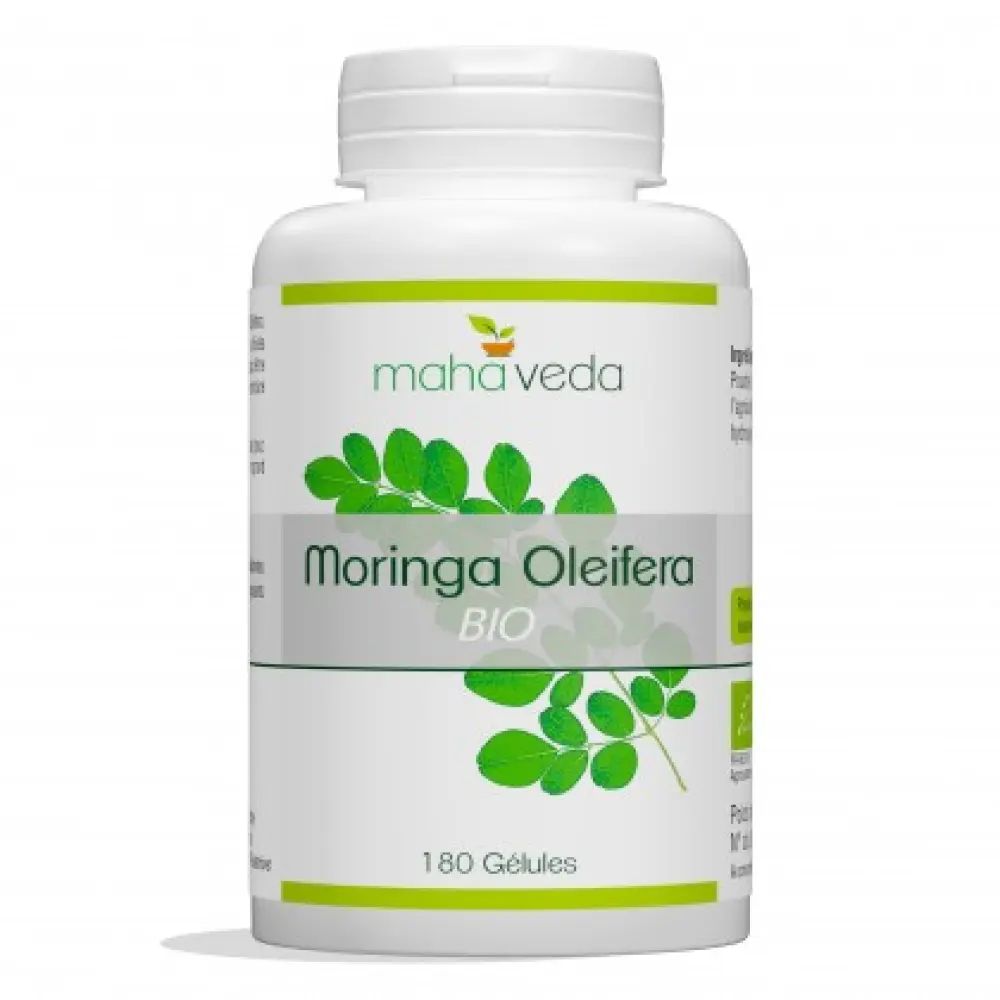 Bio Moringa Oleifera — Phytosud