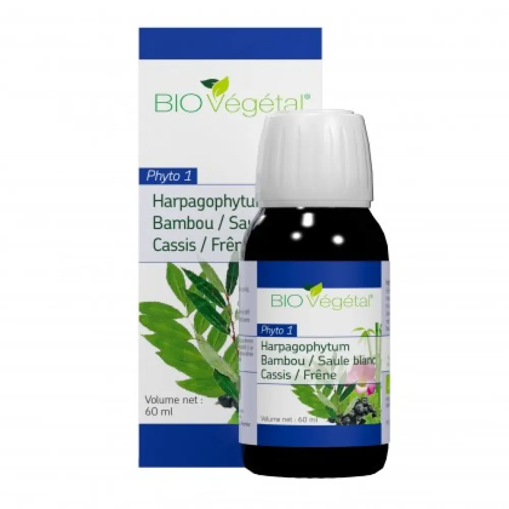 Phyto 1 - Bio Bambus, Weiße Weide, Schwarze Johannisbeere, Esche & Harpagophytum — Phytosud