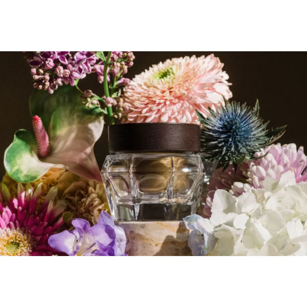 L'Art du Portrait - Crème Lumière Hydratation Intense - La Recharge — HYLERIA