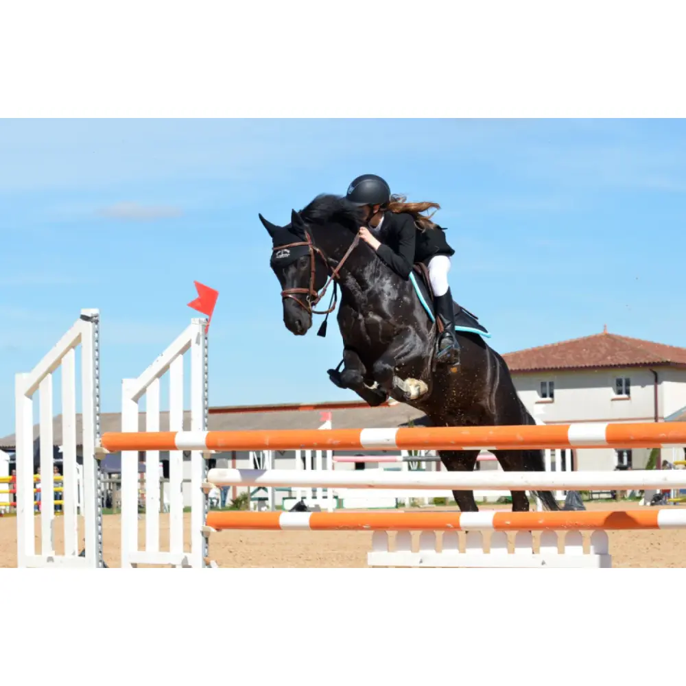 Relax Sport — German Horse Fit