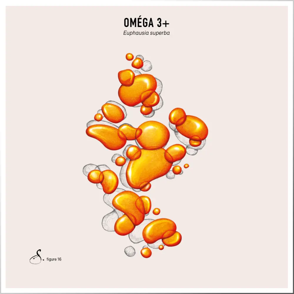 Omega 3 + — Sekoya