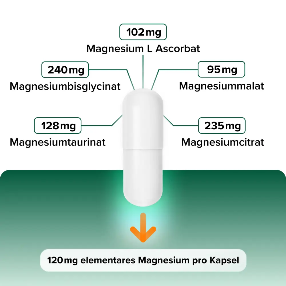 Intensive Magnesium 5 organische Formen 120 mg — Body Resources