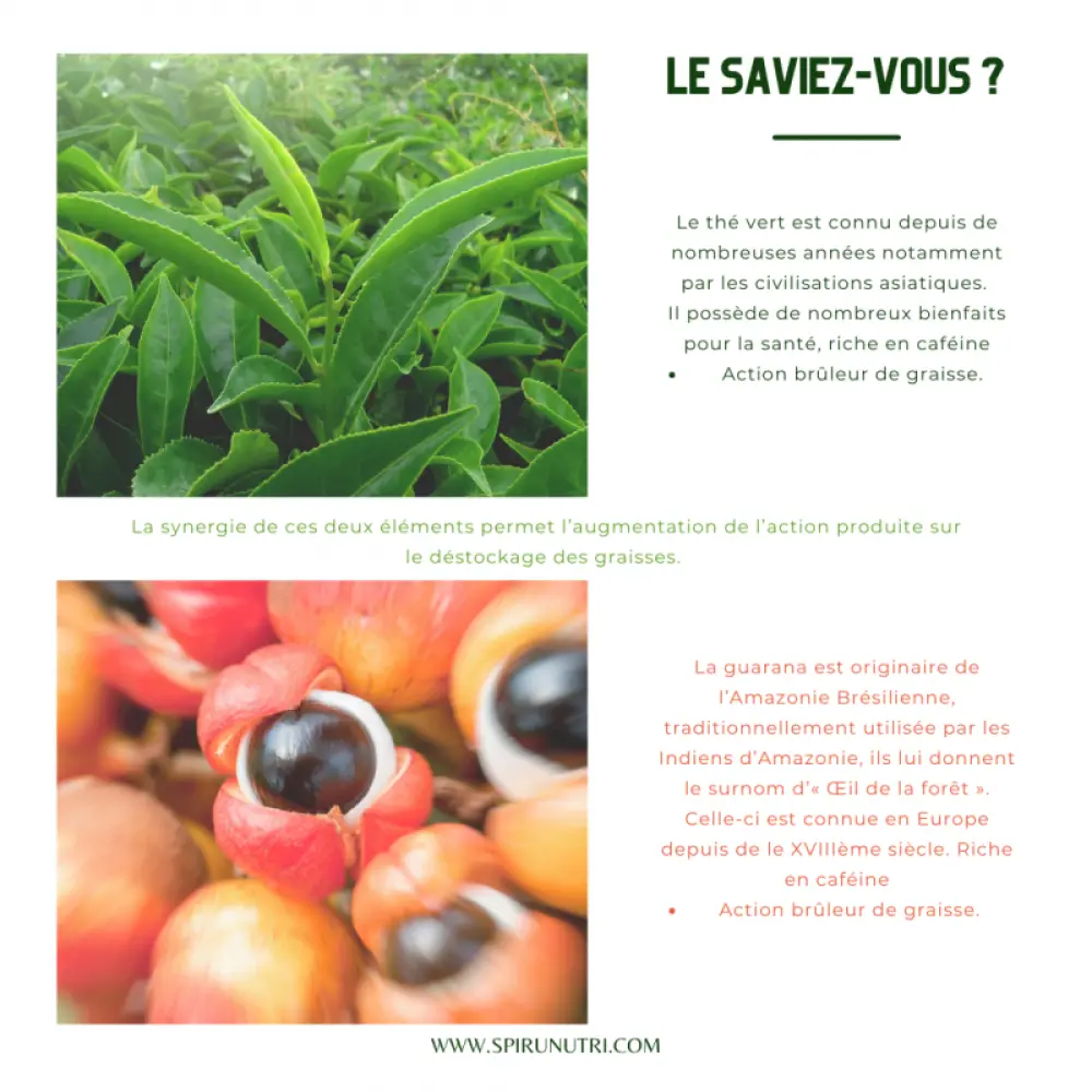 Spiru Minceur Bio — SpiruNutri