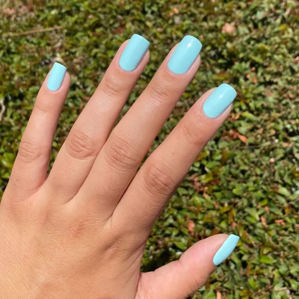 Patagonia — Vernis 786
