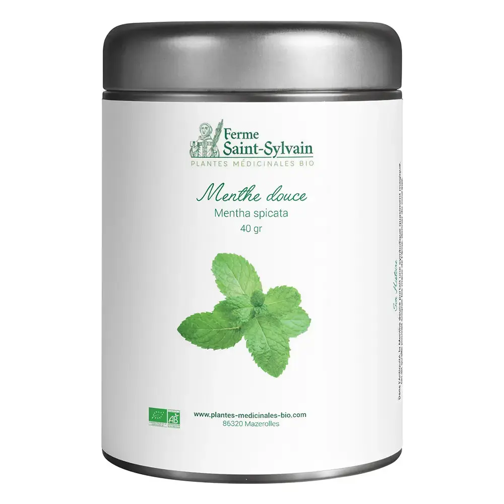 Bio-Kräutertee Süße Minze — La Ferme Saint-Sylvain