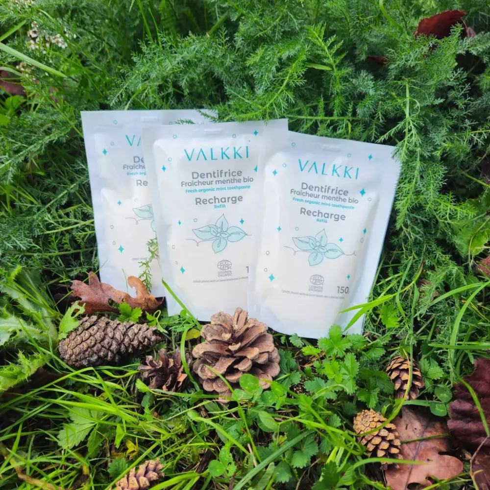 Valkki Adult 3x Refills Pack - Bio-Minze Frische — Valkki