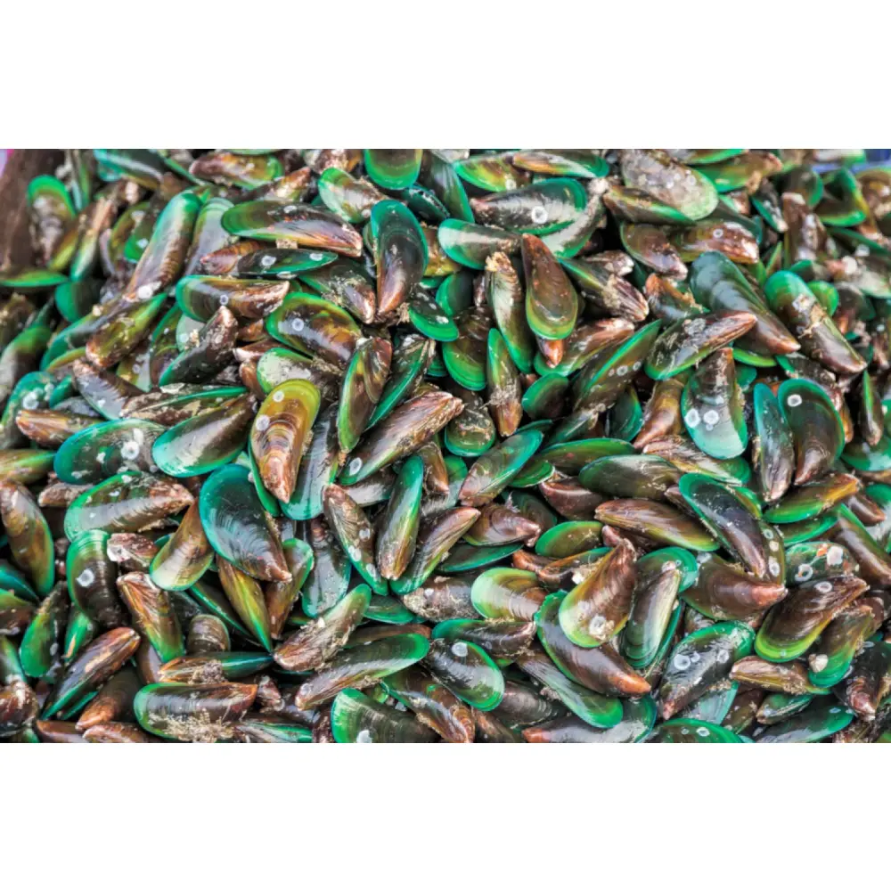 Articulations & Mobilité, soutien cheval 850 g — German Horse Fit