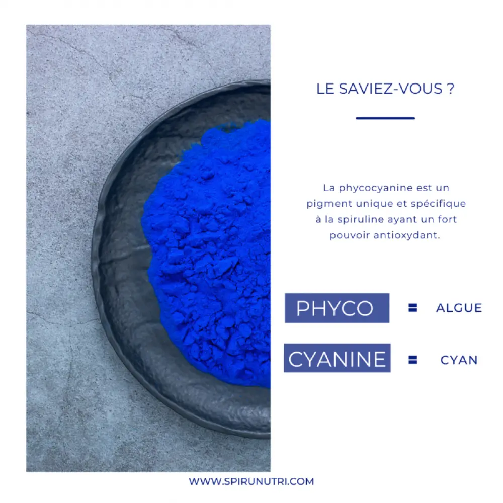 Spiru poudre Bio — SpiruNutri