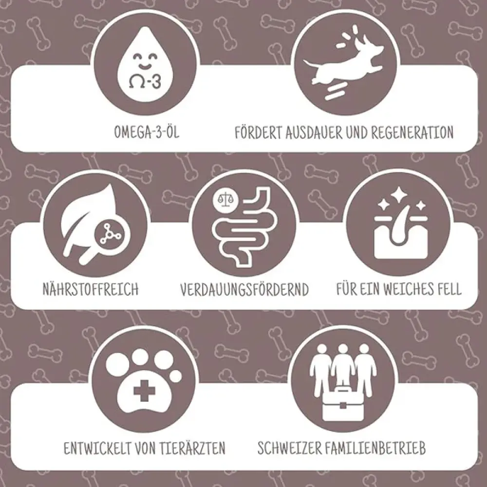 Tradidog Senior — tradidog