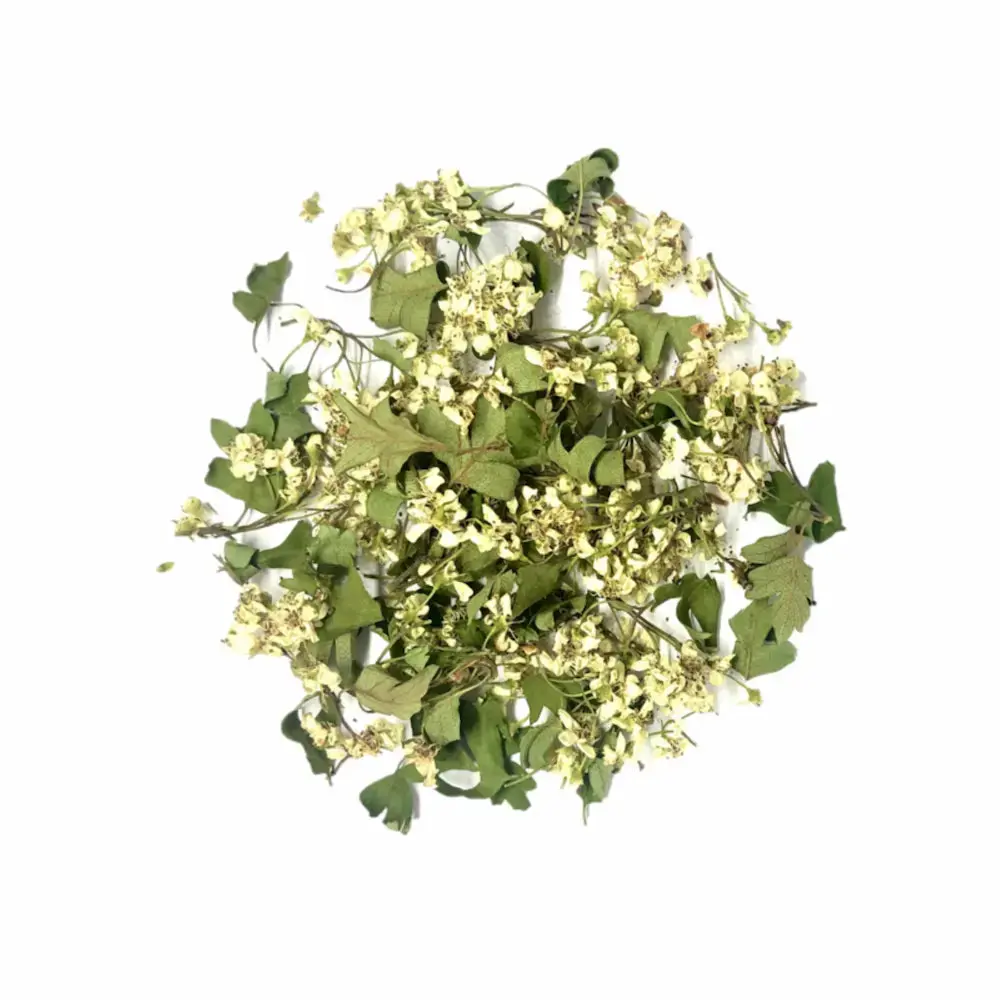 Kräutertee Weißdorn Bio — La Ferme Saint-Sylvain