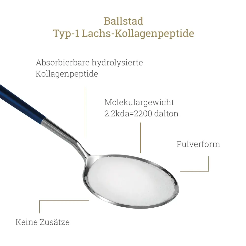 Reine Norwegische Lachs - Kollagenpeptide - 1 Monat Nachfüllbeutel, Aufbewahrungsbox und Löffel — Ballstad