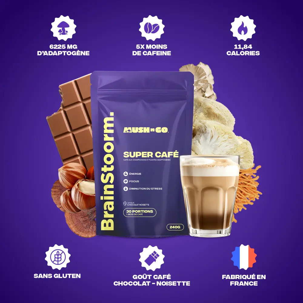 Café adaptogène Brainstoorm goût chocolat - cure 1 mois — Mush n Go