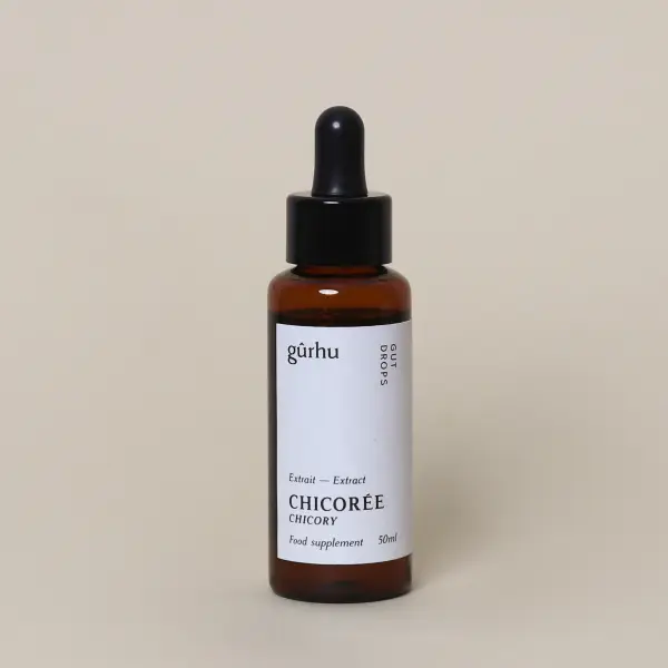 Zichorie extrakt