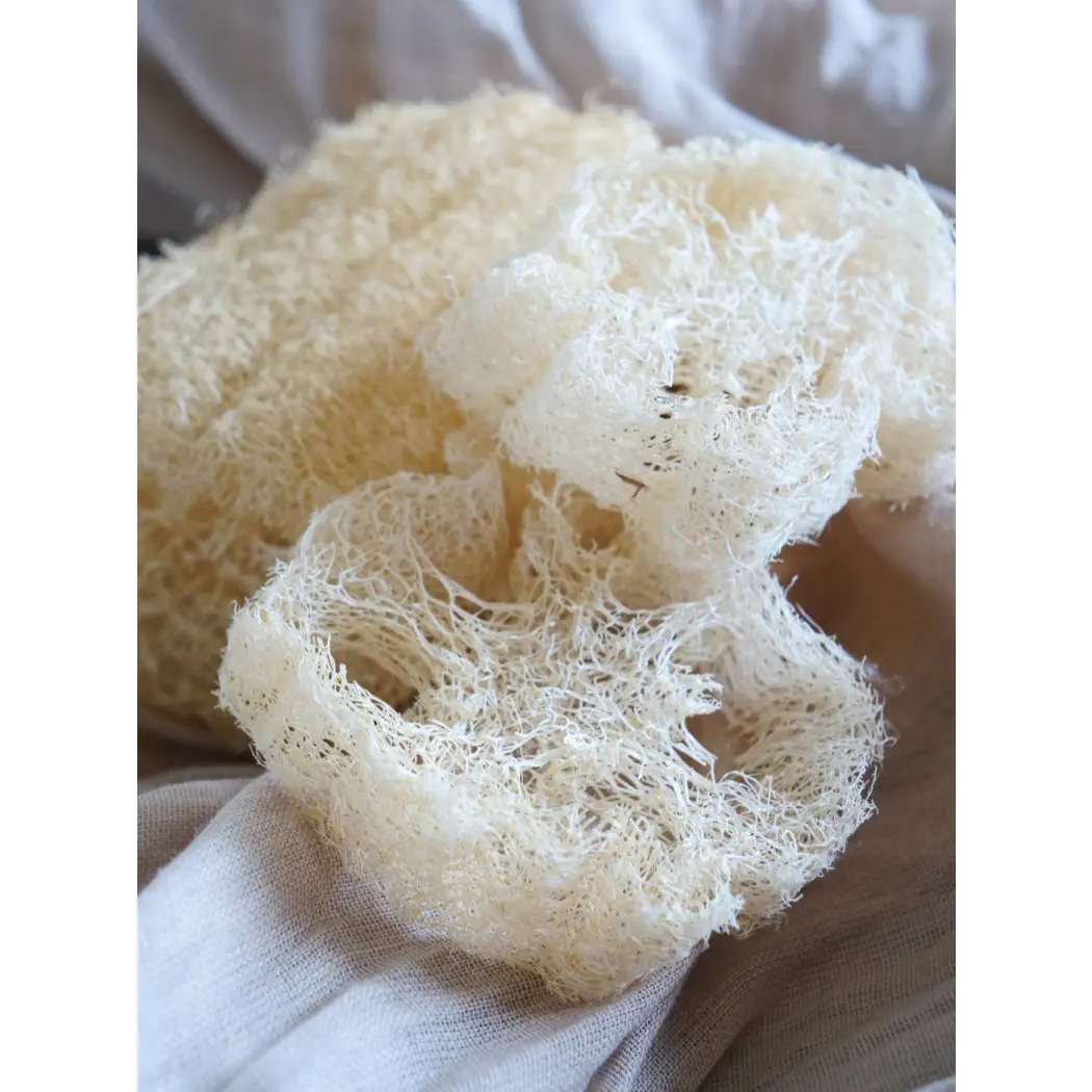 Loofah brut — NAJEL