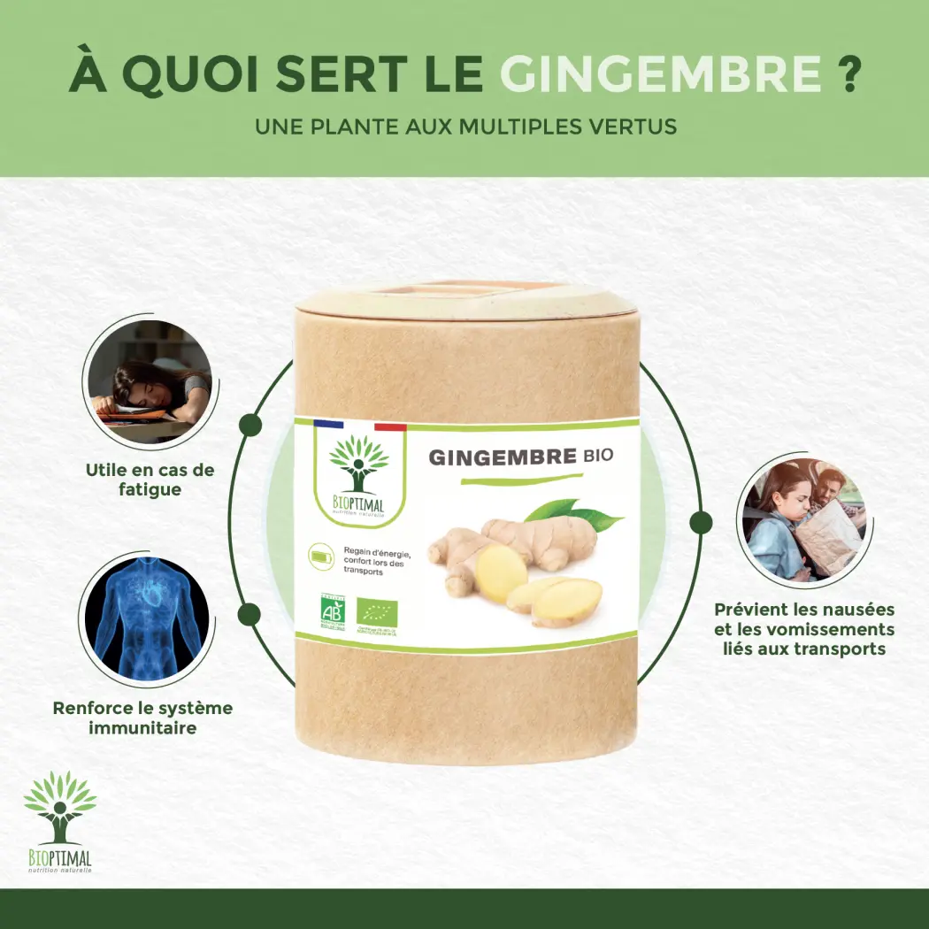 Gingembre bio - 200 — BIOPTIMAL