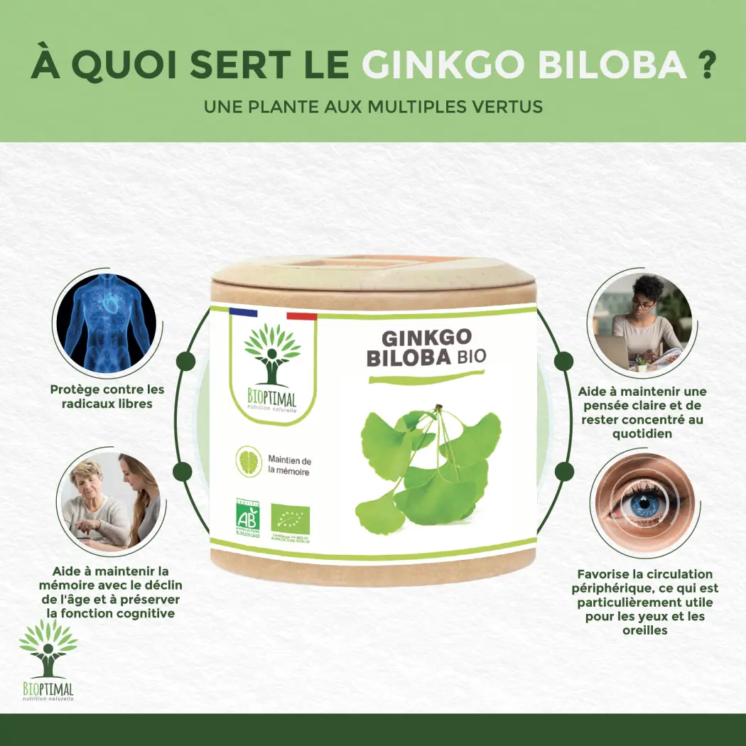 Ginkgo Biloba bio - 2 x 60 — BIOPTIMAL