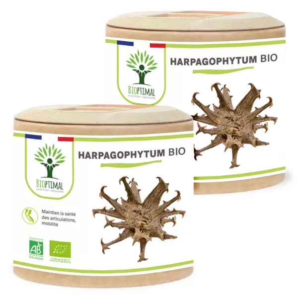 Harpagophytum bio - 2 x 60 - 120unités