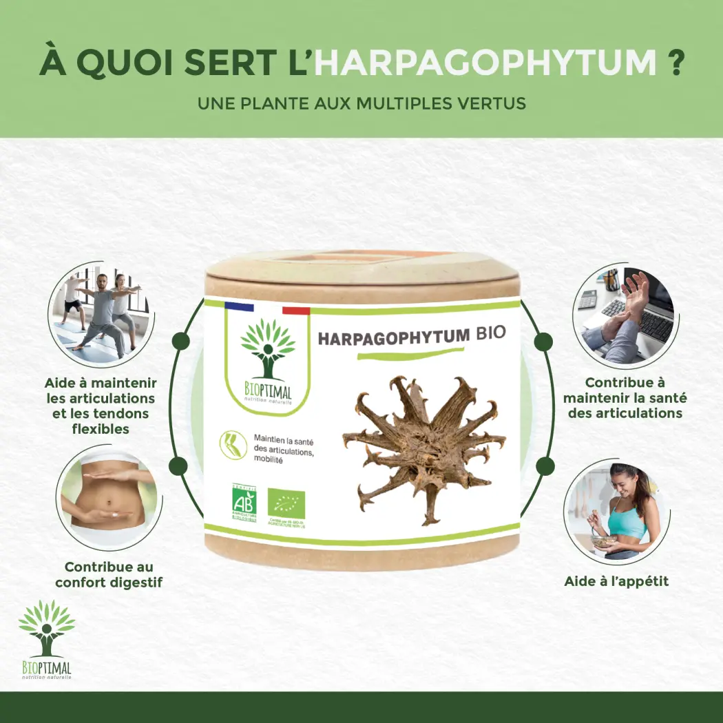 Harpagophytum Bio - 2 x 60 — BIOPTIMAL