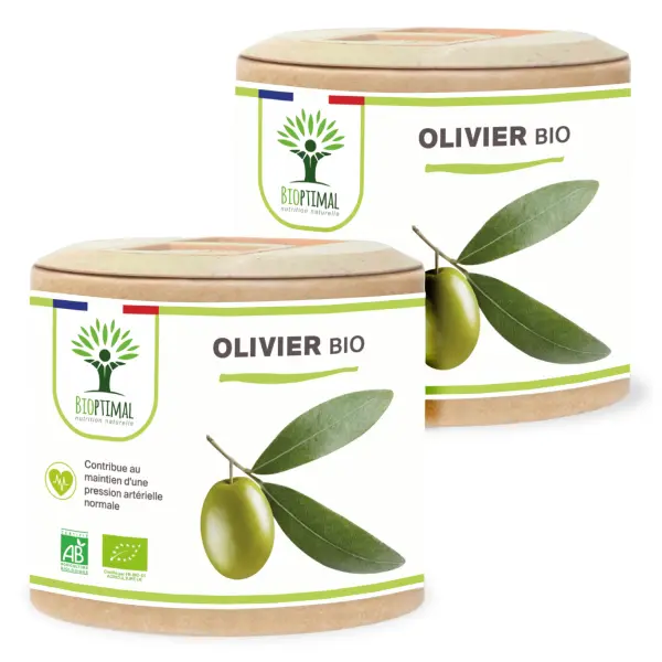 Bio Olivenbaum - 120Stück