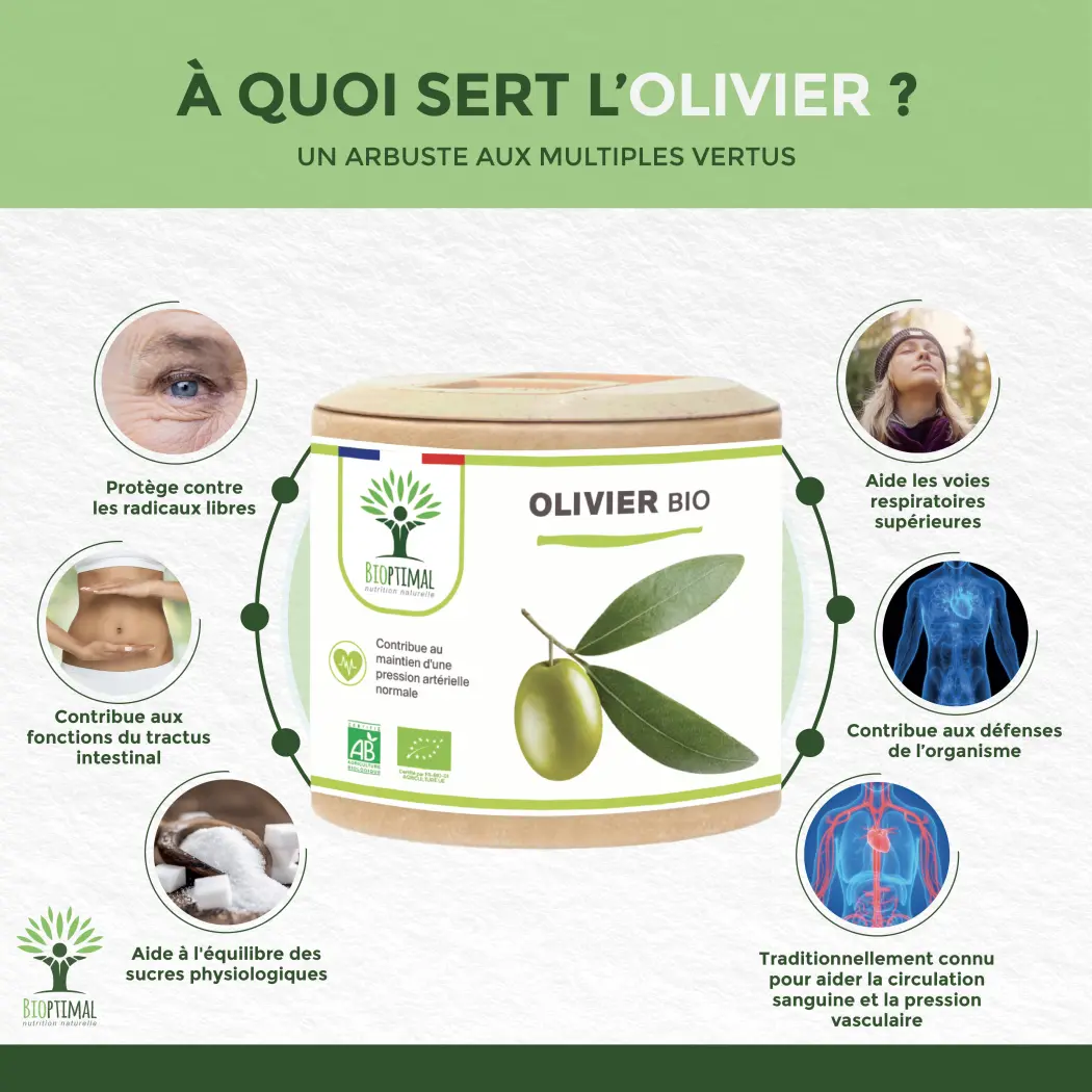 Bio Olivenbaum — BIOPTIMAL
