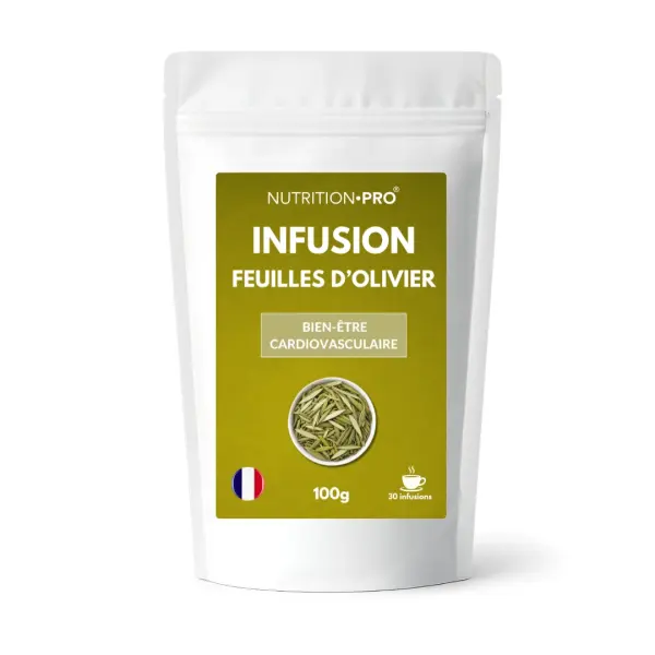 Infusión de hojas de olivo – Circulación y bienestar cardiovascular