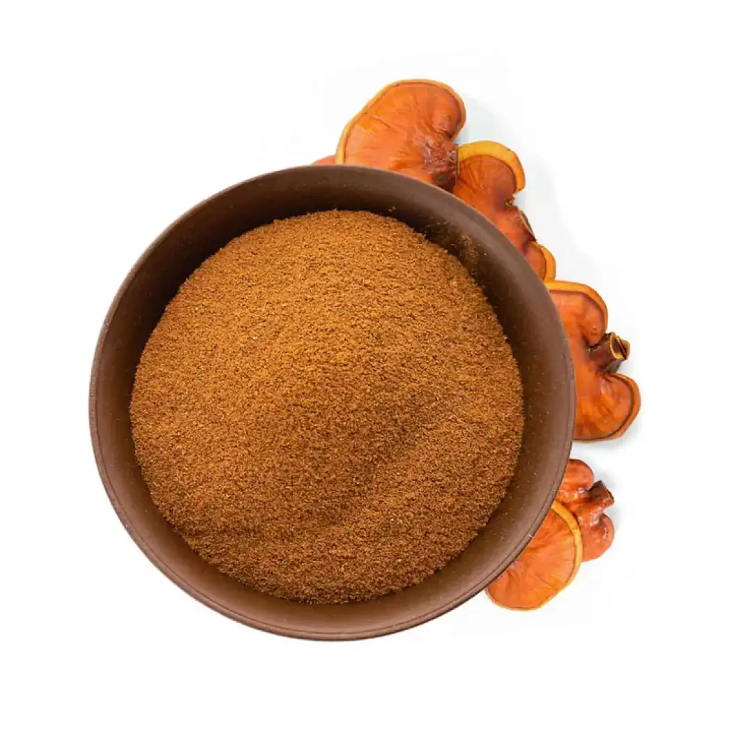 Reishi en Poudre Bio - 50 g — Amoseeds