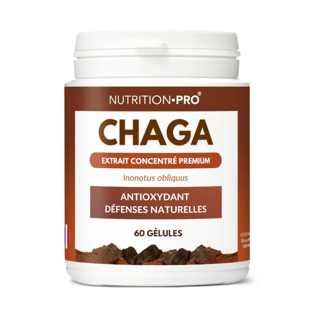Chaga (Inonotus obliquus) extrait 4:1 - 60 gélules — Nutrition Pro